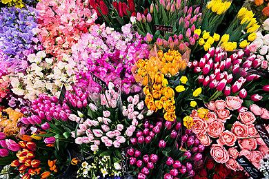 网易德州工作室新作：虚幻5开发 将尝试多人游戏从未做过的事情